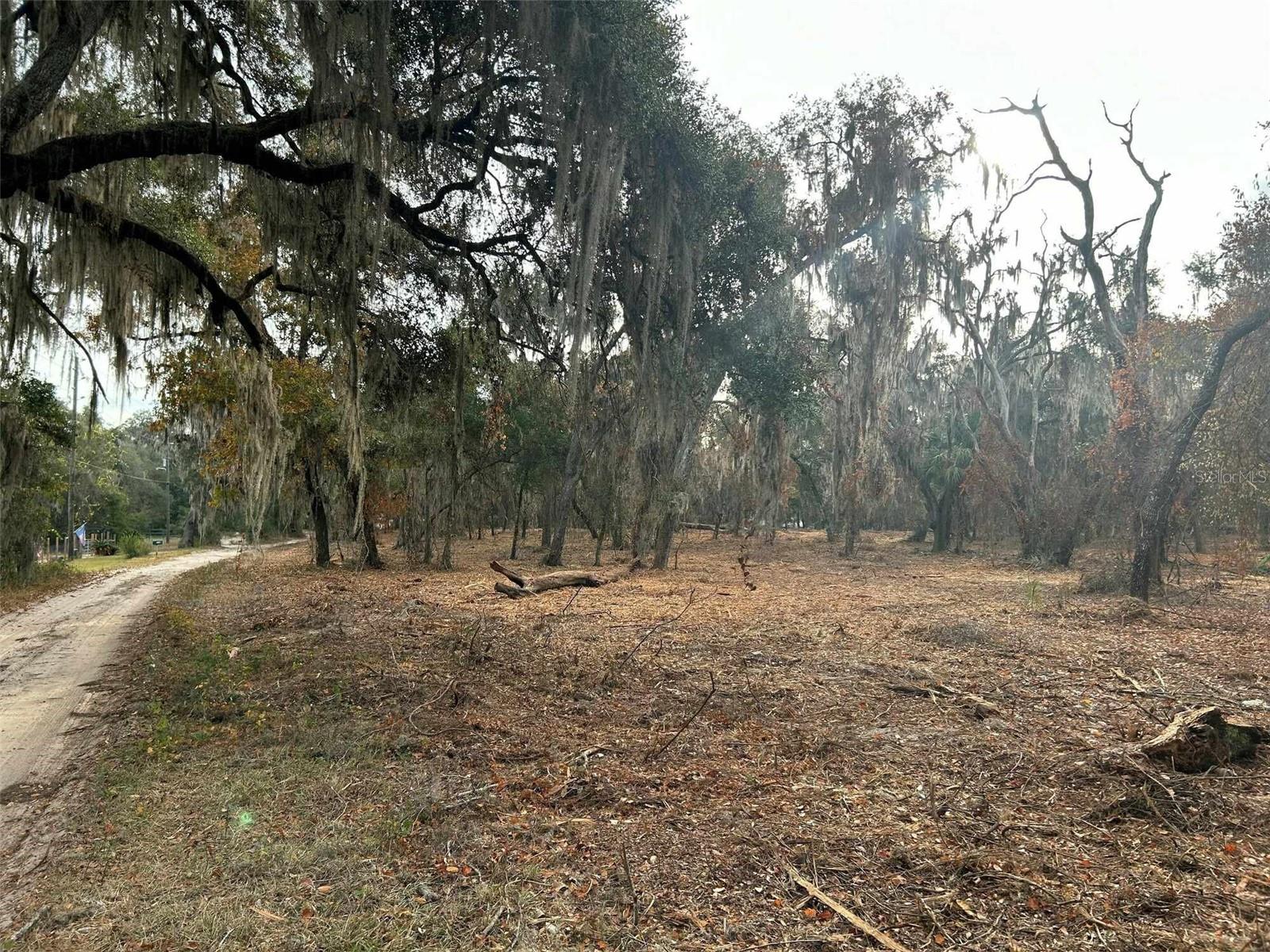 Faye St Property Photo 6