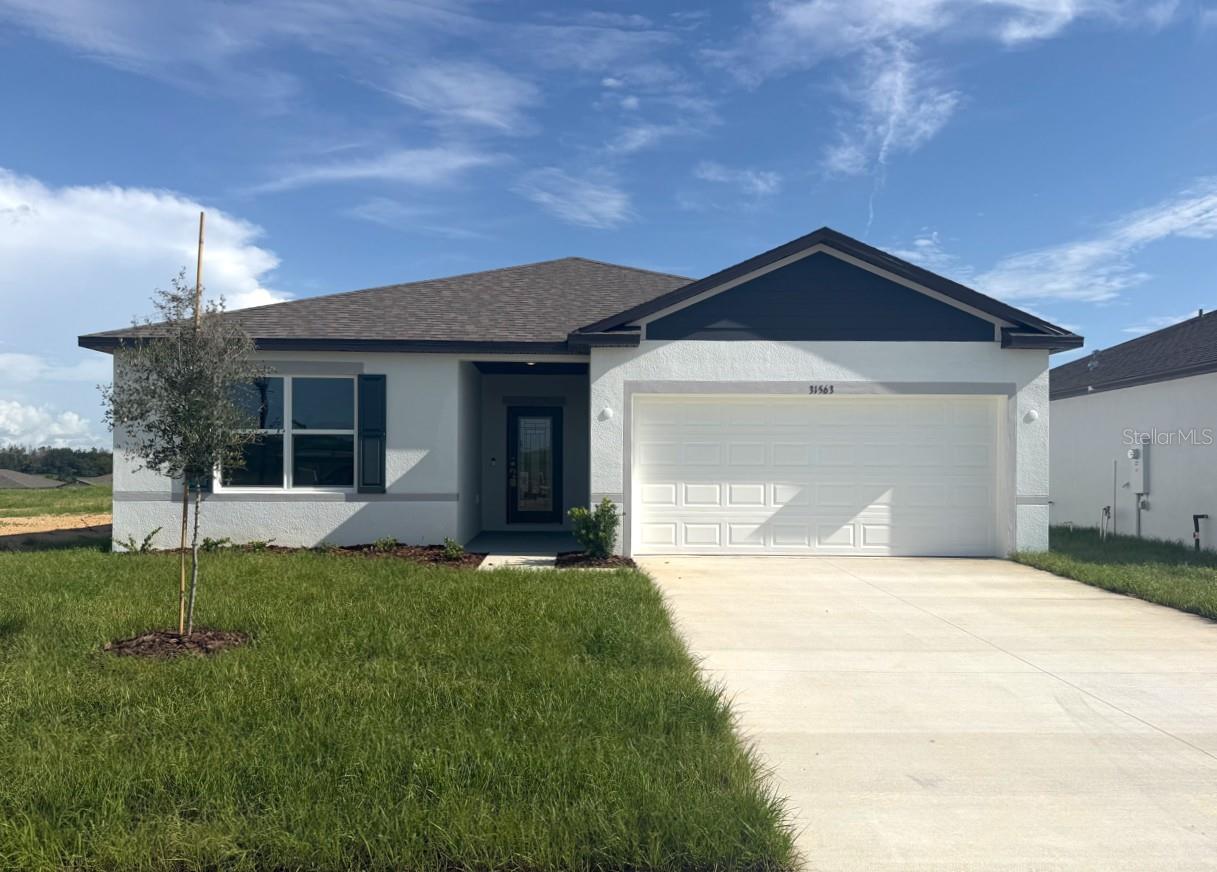 31563 WILD GRAPE LN