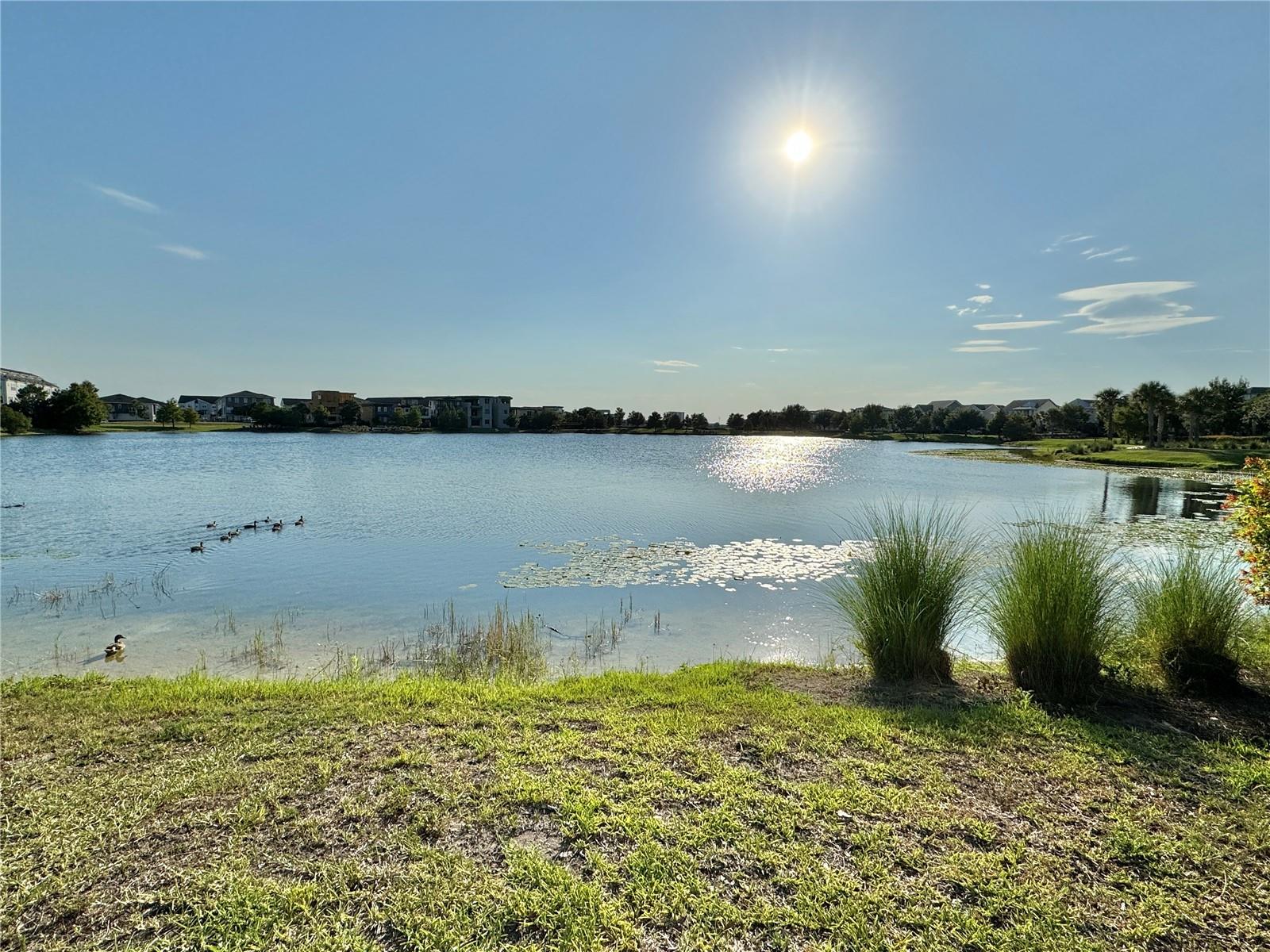 13408 Beebe Aly Property Photo 54