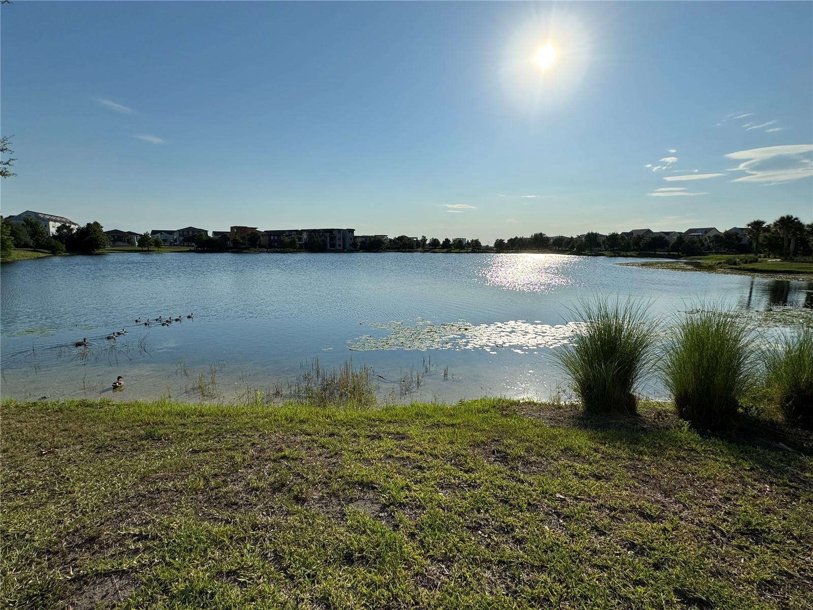 13408 Beebe Aly Property Photo 56