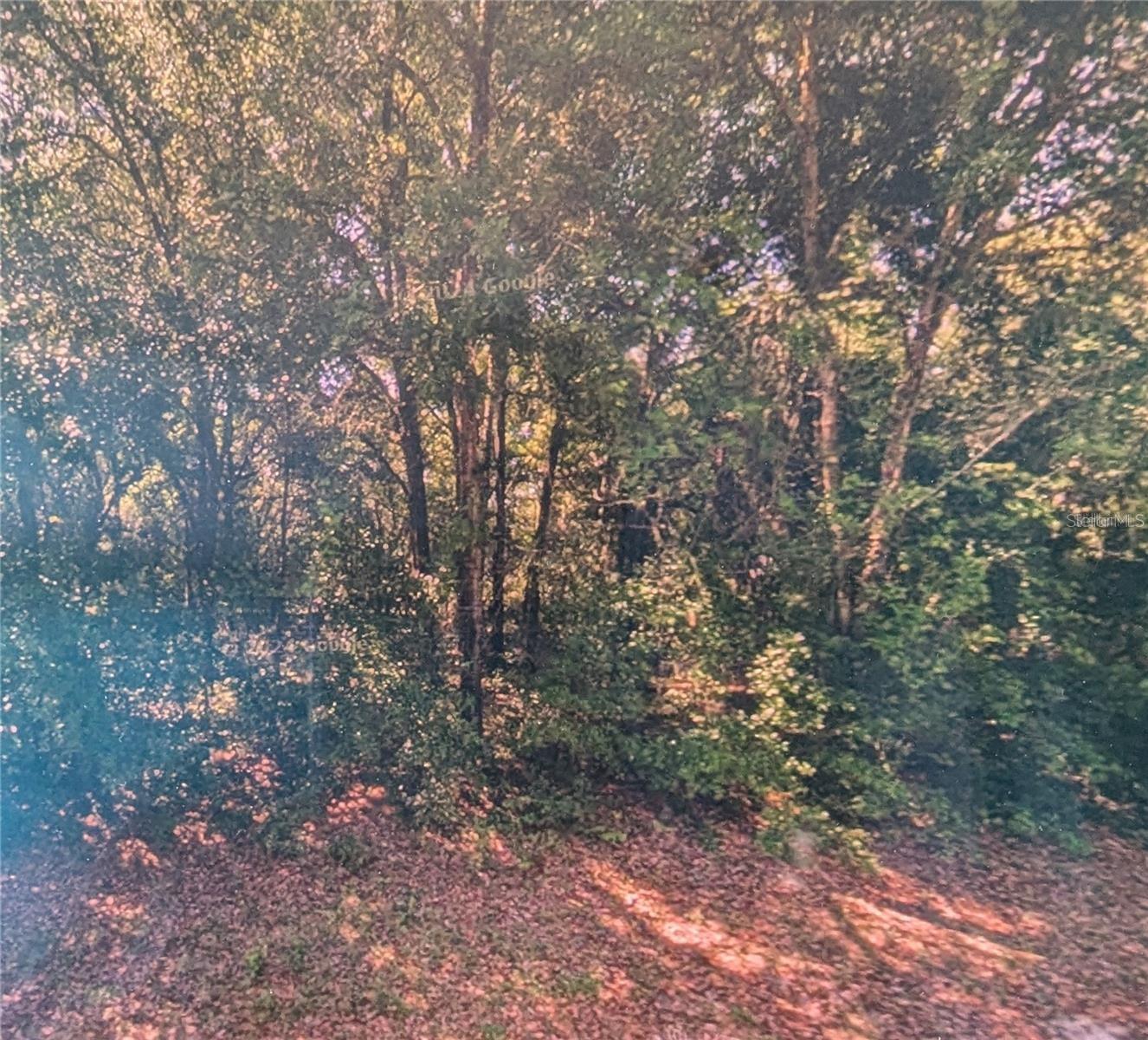 8973 N Bee Way Property Photo 1