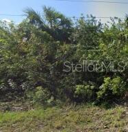 886 Bitlis St Sw Property Photo 1