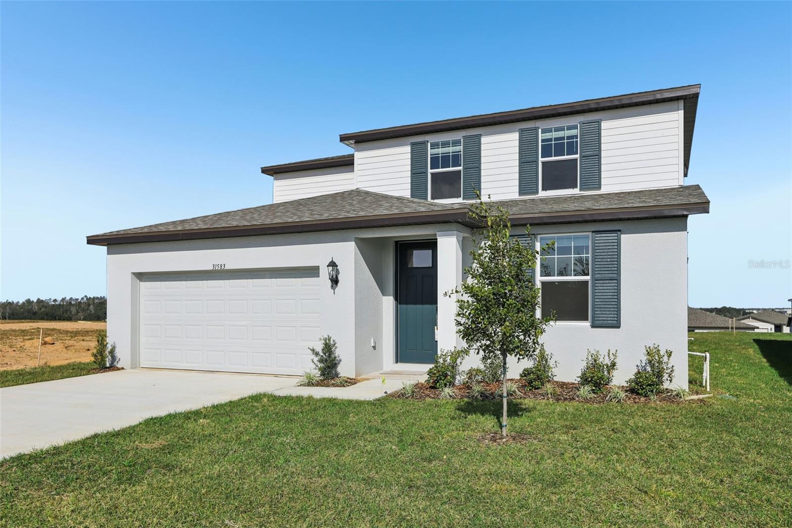 31583 Wild Grape Ln Property Photo 3