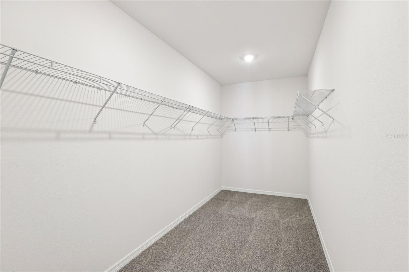 31583 Wild Grape Ln Property Photo 27