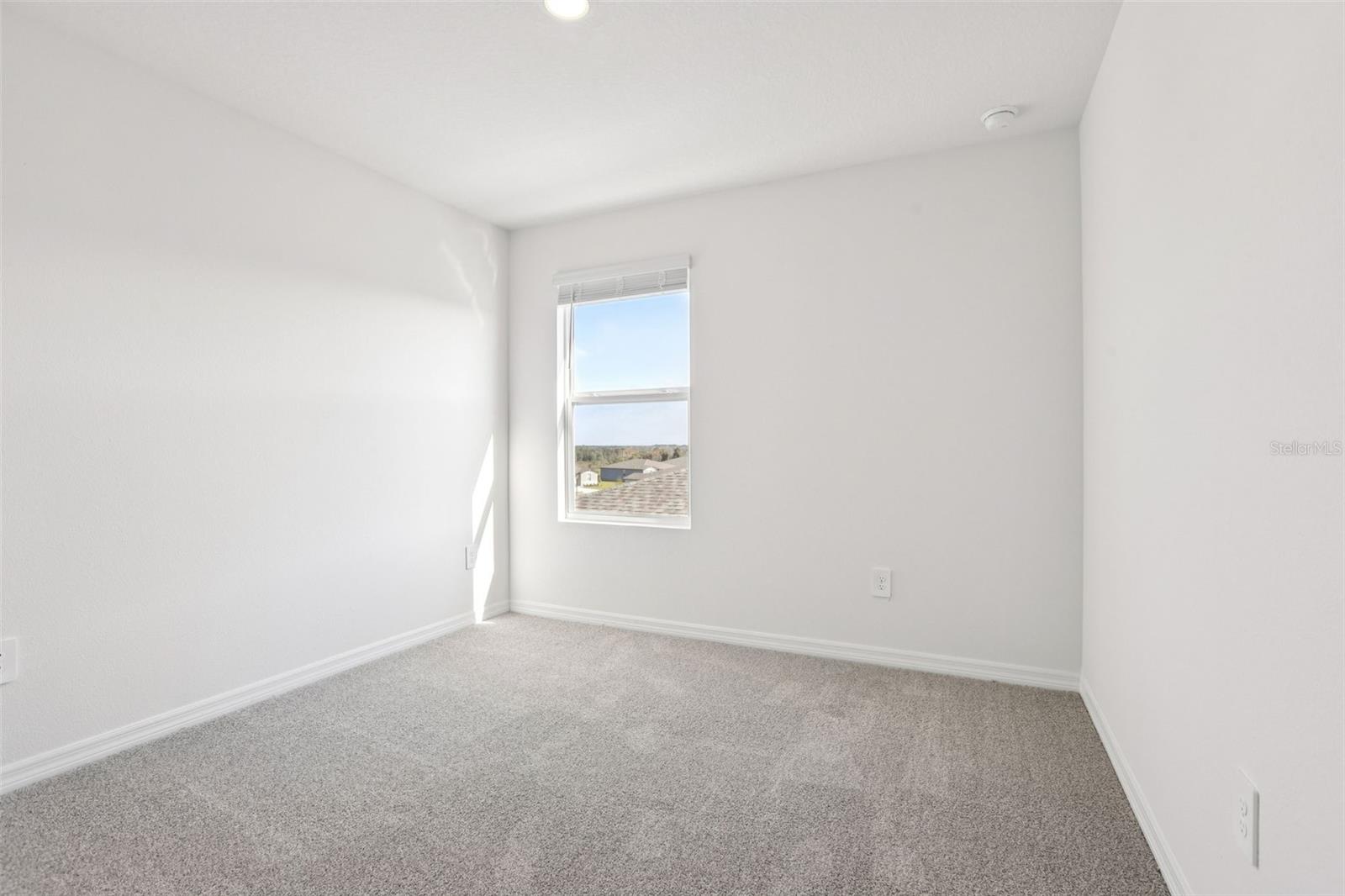 31583 Wild Grape Ln Property Photo 38