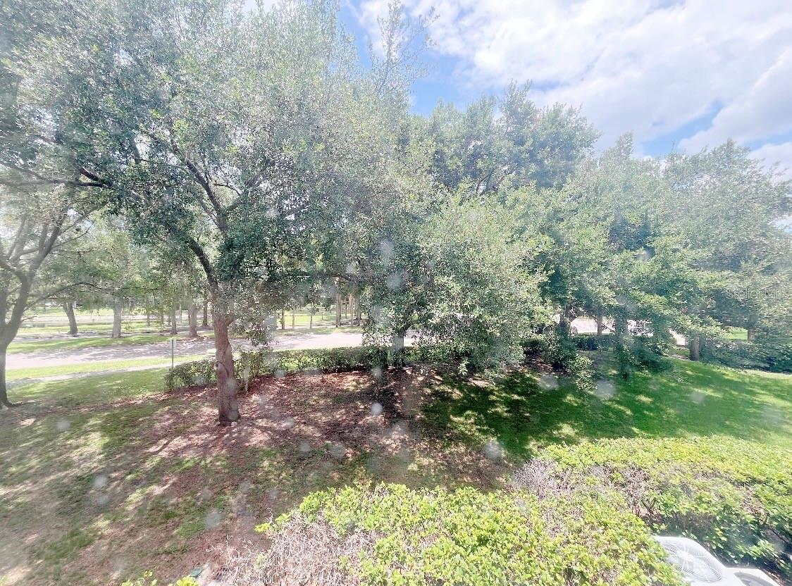 8203 Olympia Ct Property Photo 29