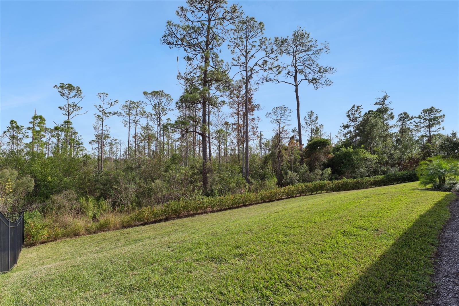 2745 Nature View Rd Property Photo 33