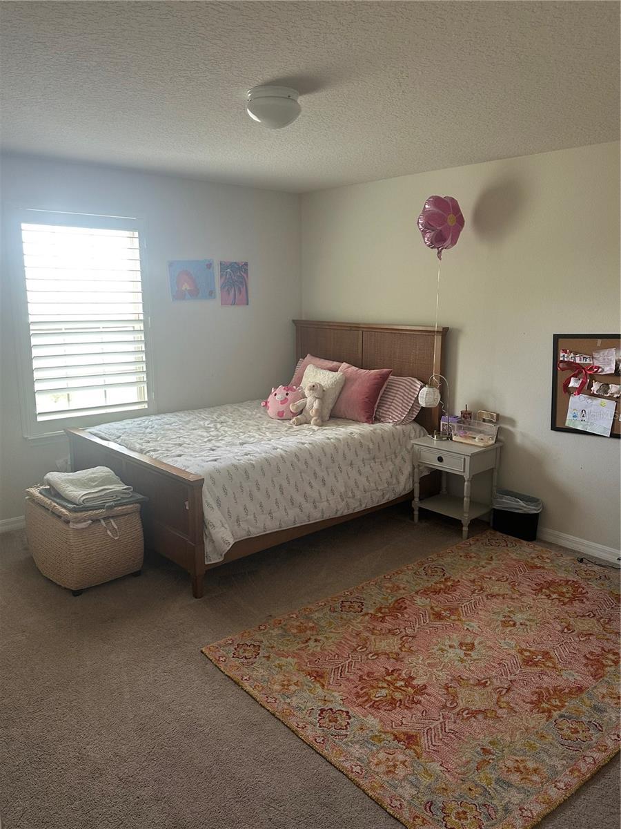 2779 Matera Dr Property Photo 19