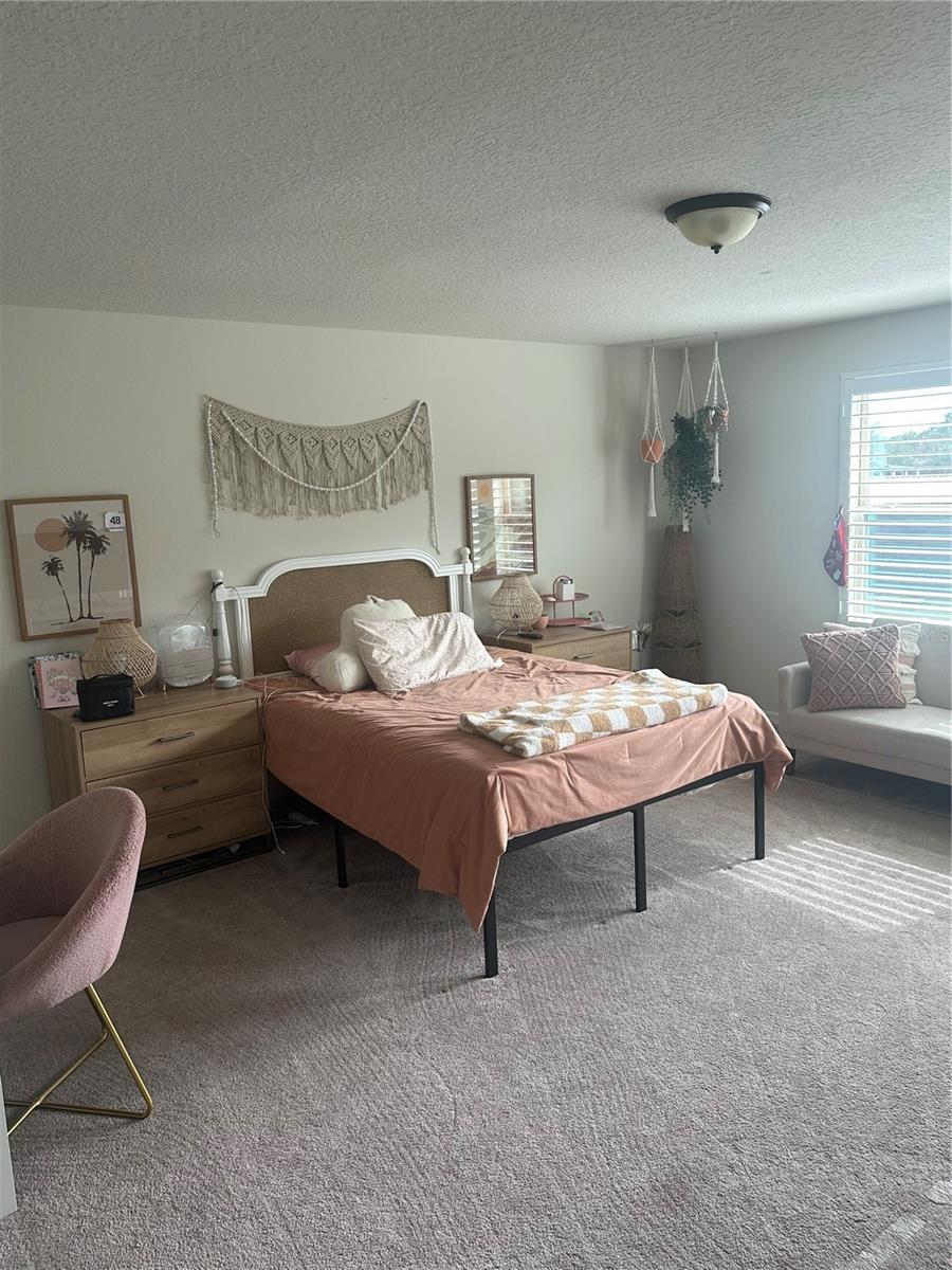 2779 Matera Dr Property Photo 22