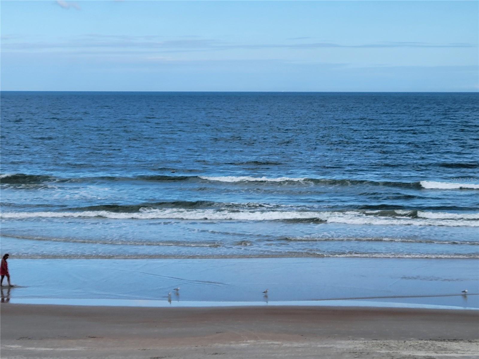 2301 S Atlantic Ave #238 Property Photo 6