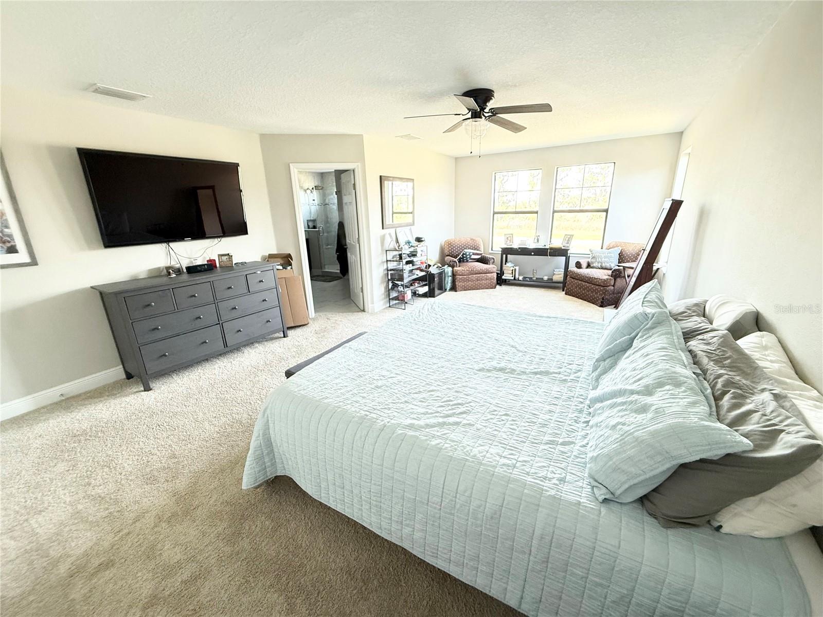 14820 Paddock Pond Ave Property Photo 7