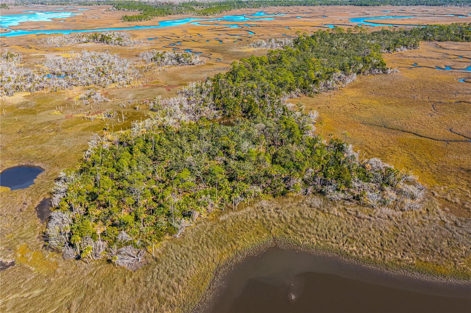 Clark Island Property Photo 3