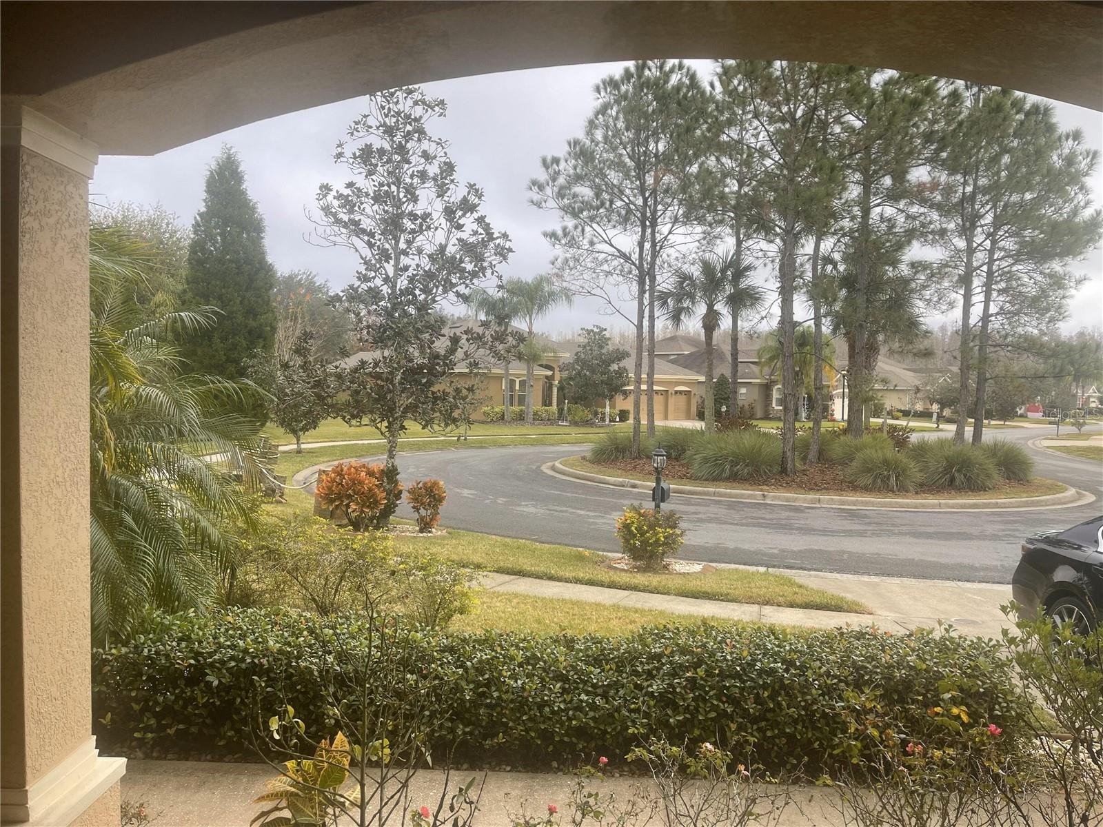 10503 Palm Cove Ave Property Photo 56