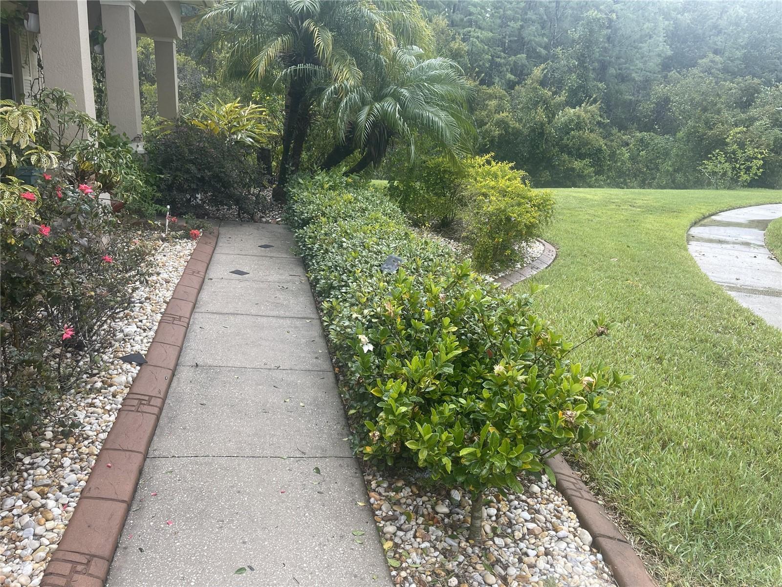 10503 Palm Cove Ave Property Photo 59