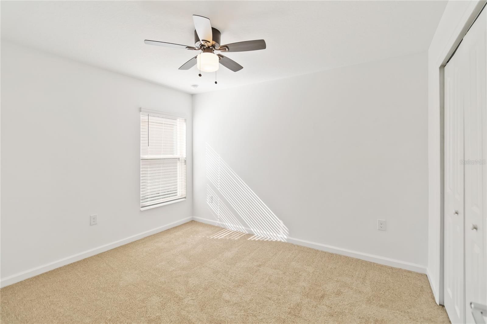 292 Pineywoods St Property Photo 20