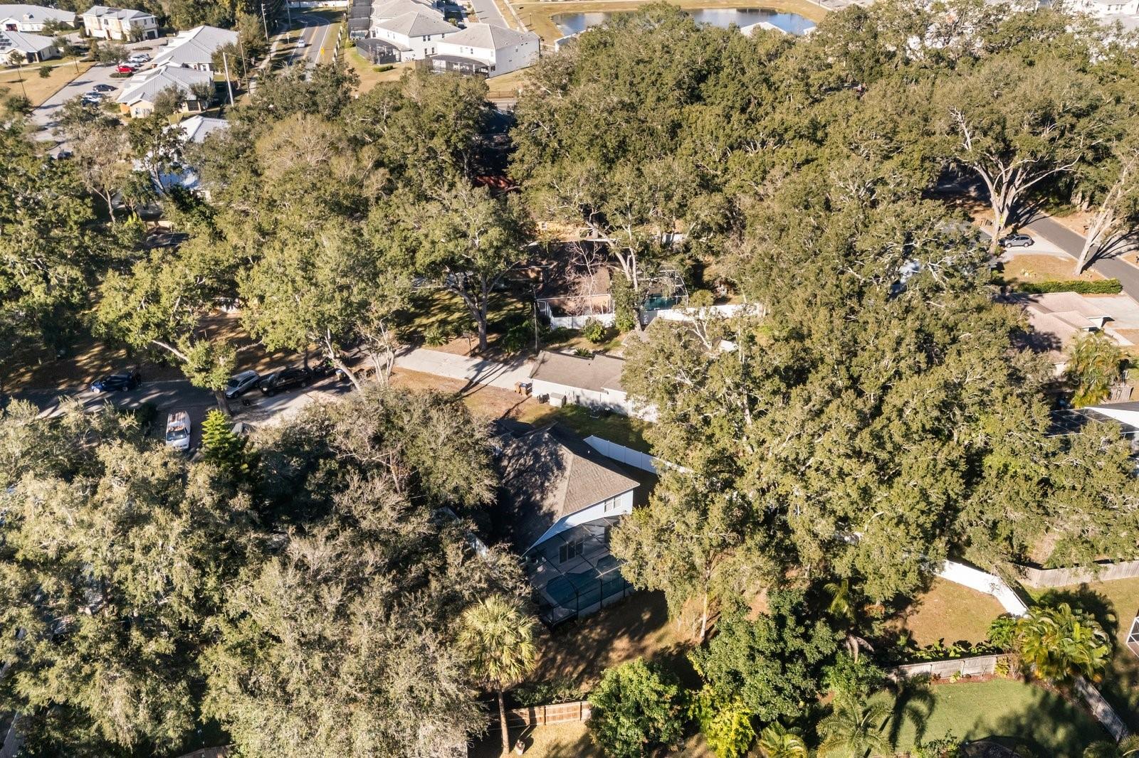4411 White Oak Cir Property Photo 34