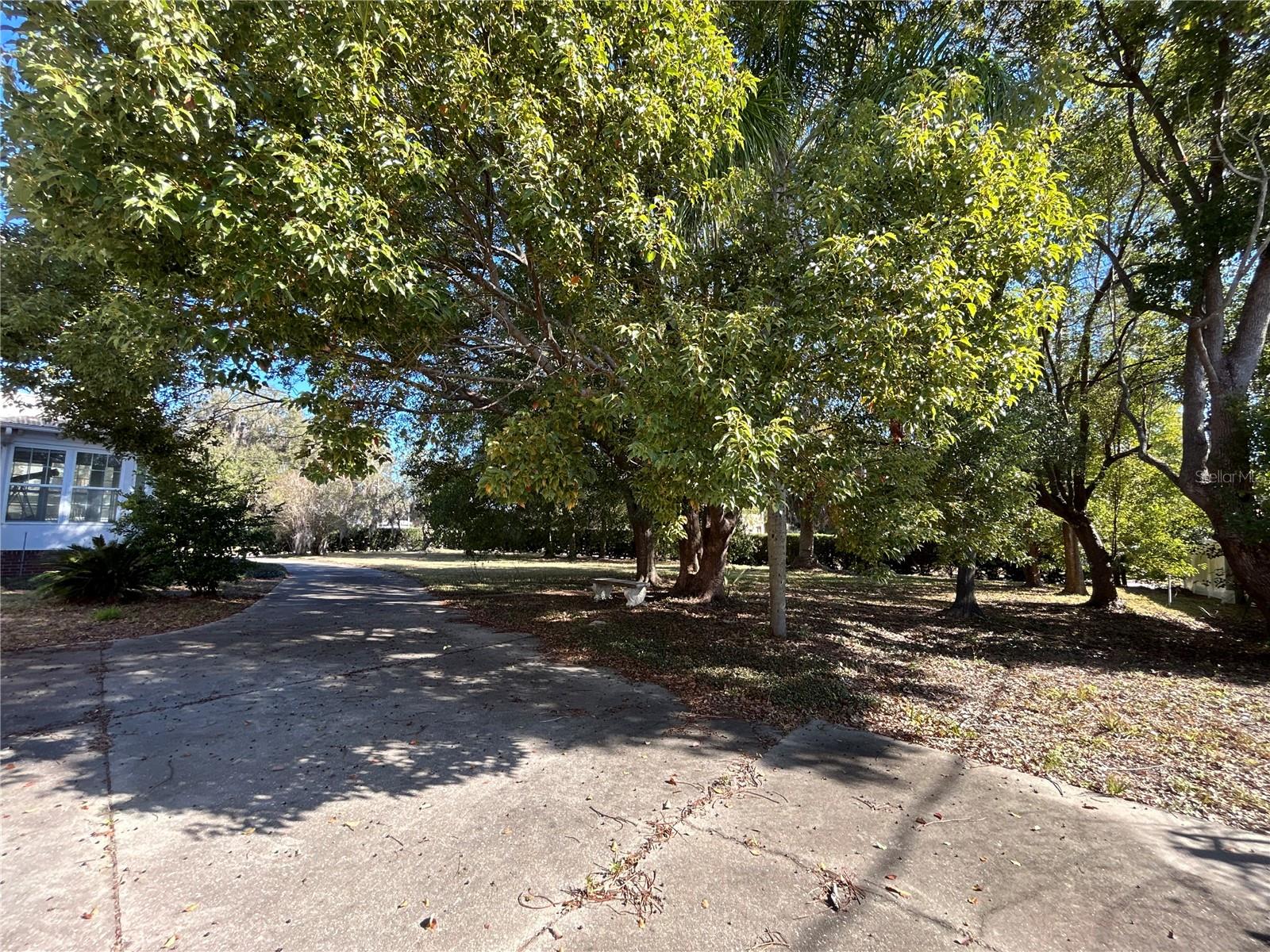 1105 Herndon St Property Photo 33