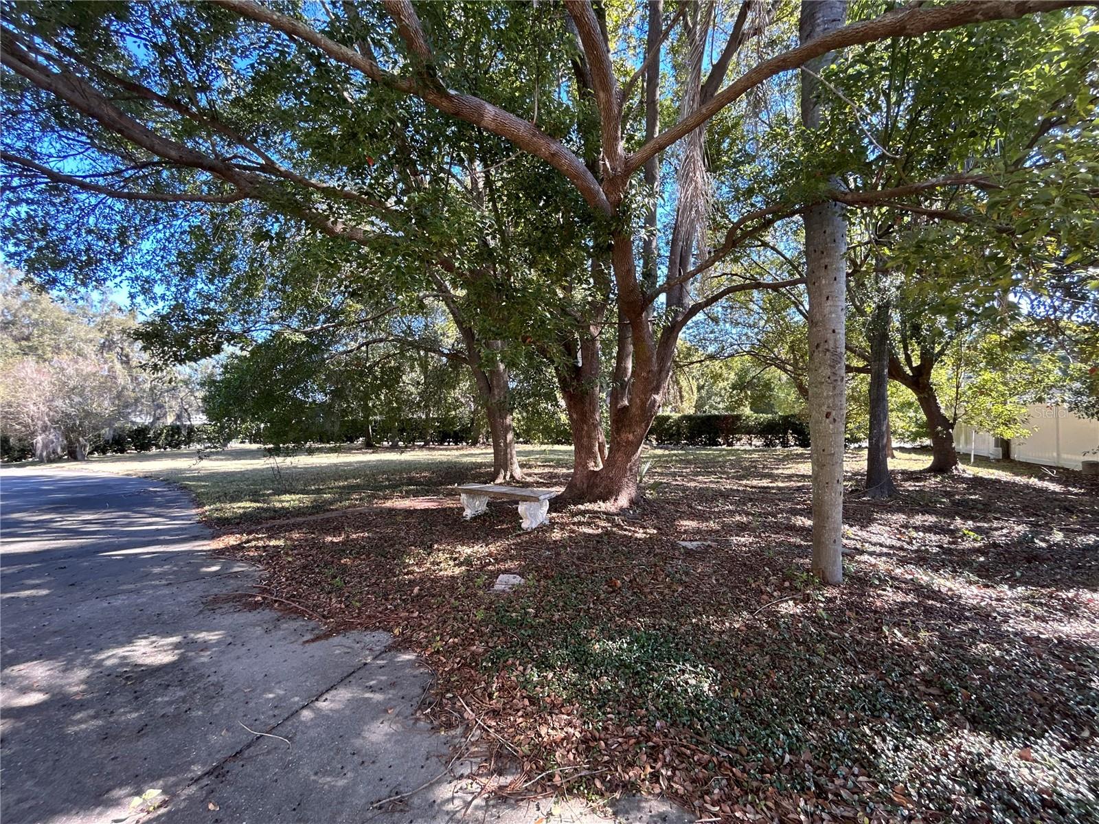 1105 Herndon St Property Photo 36