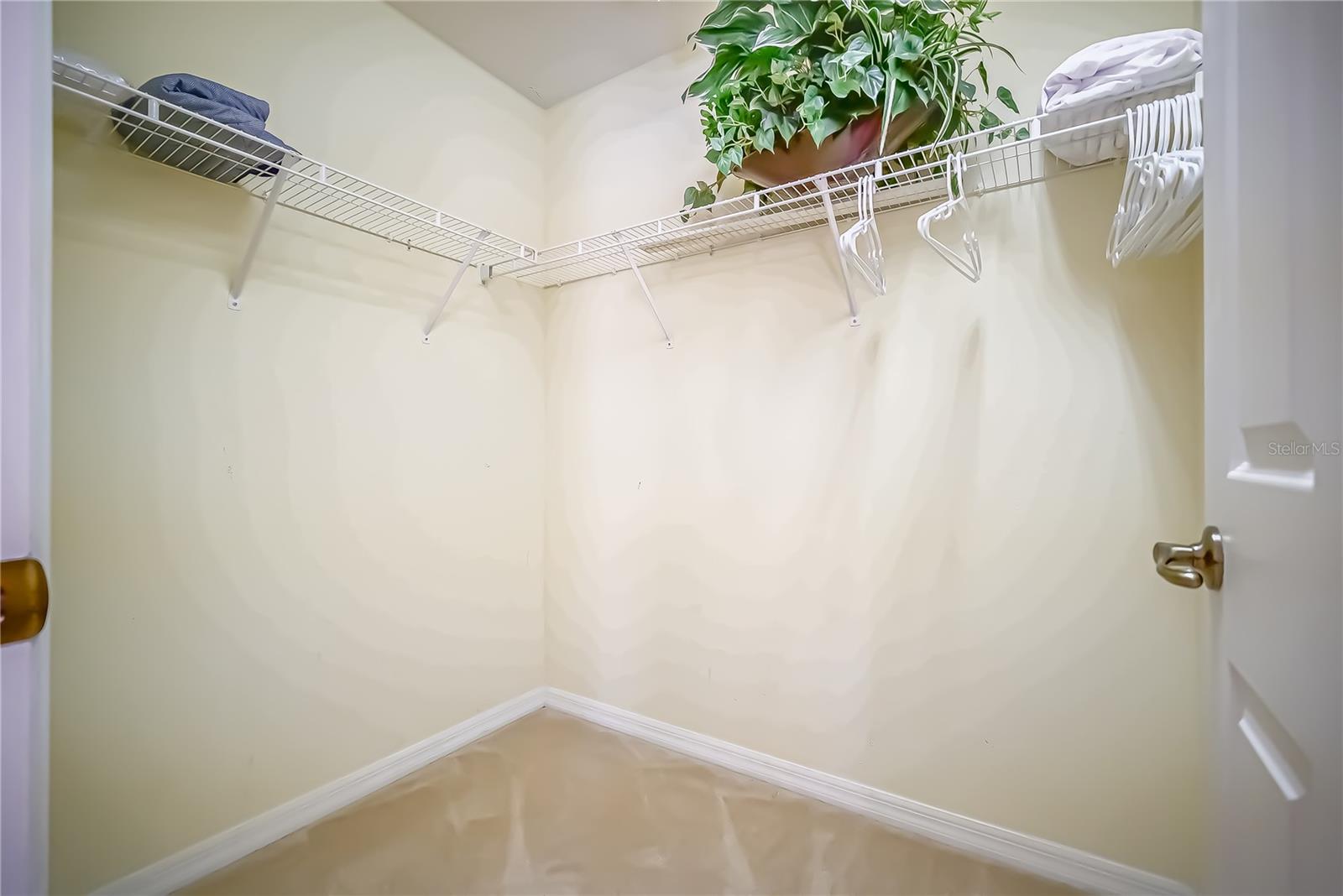 1009 Orange Cosmos Blvd Property Photo 29
