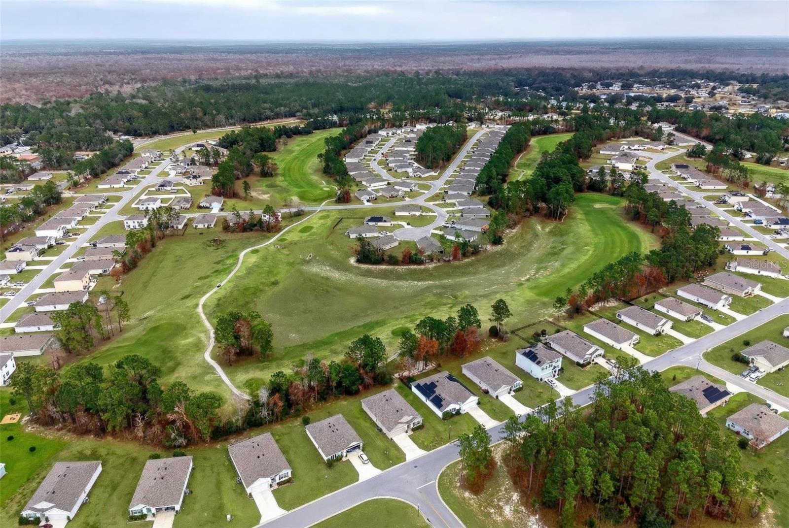 508 Hickory Course Loop Property Photo 40