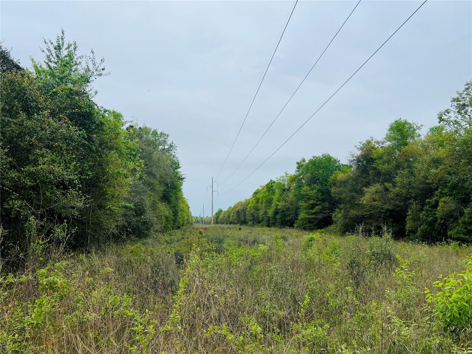 Tbd Tower Rd Property Photo 5