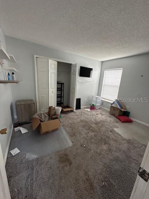 954 Durango Loop St Property Photo 10