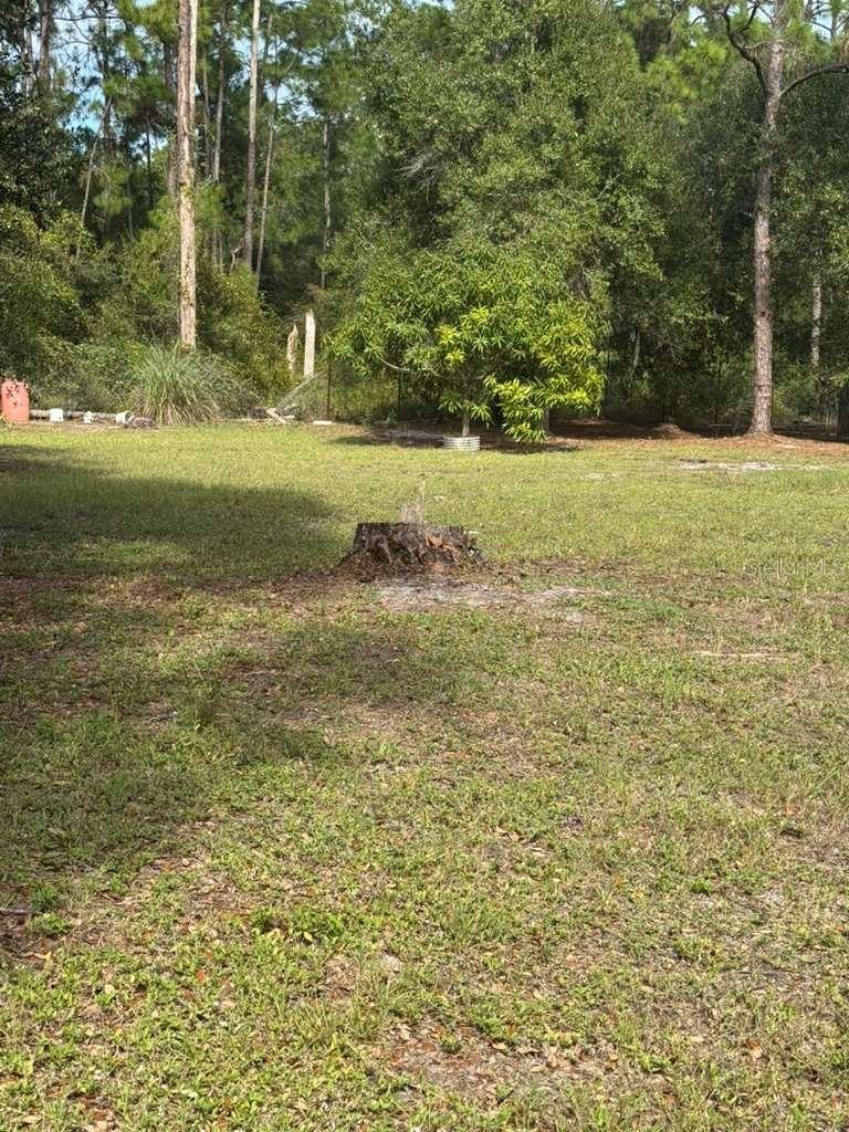 415 N Verda St Property Photo 3