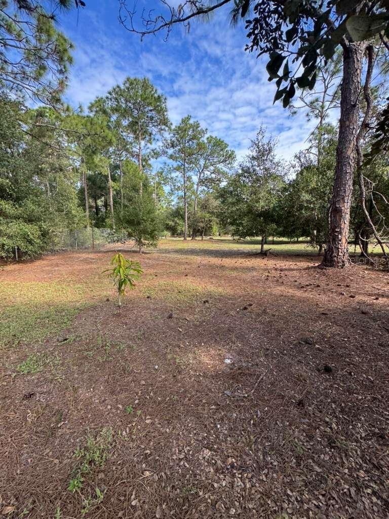 415 N Verda St Property Photo 7