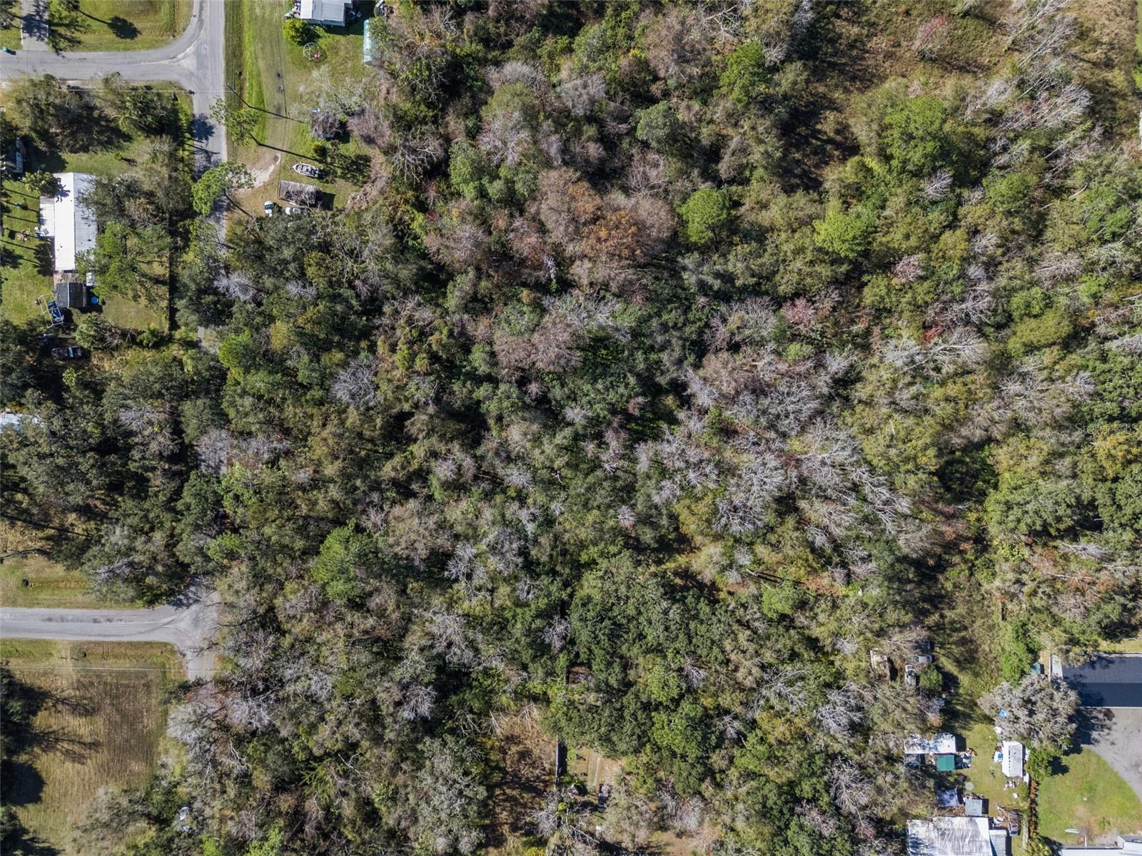 1002 Buist St Property Photo 8