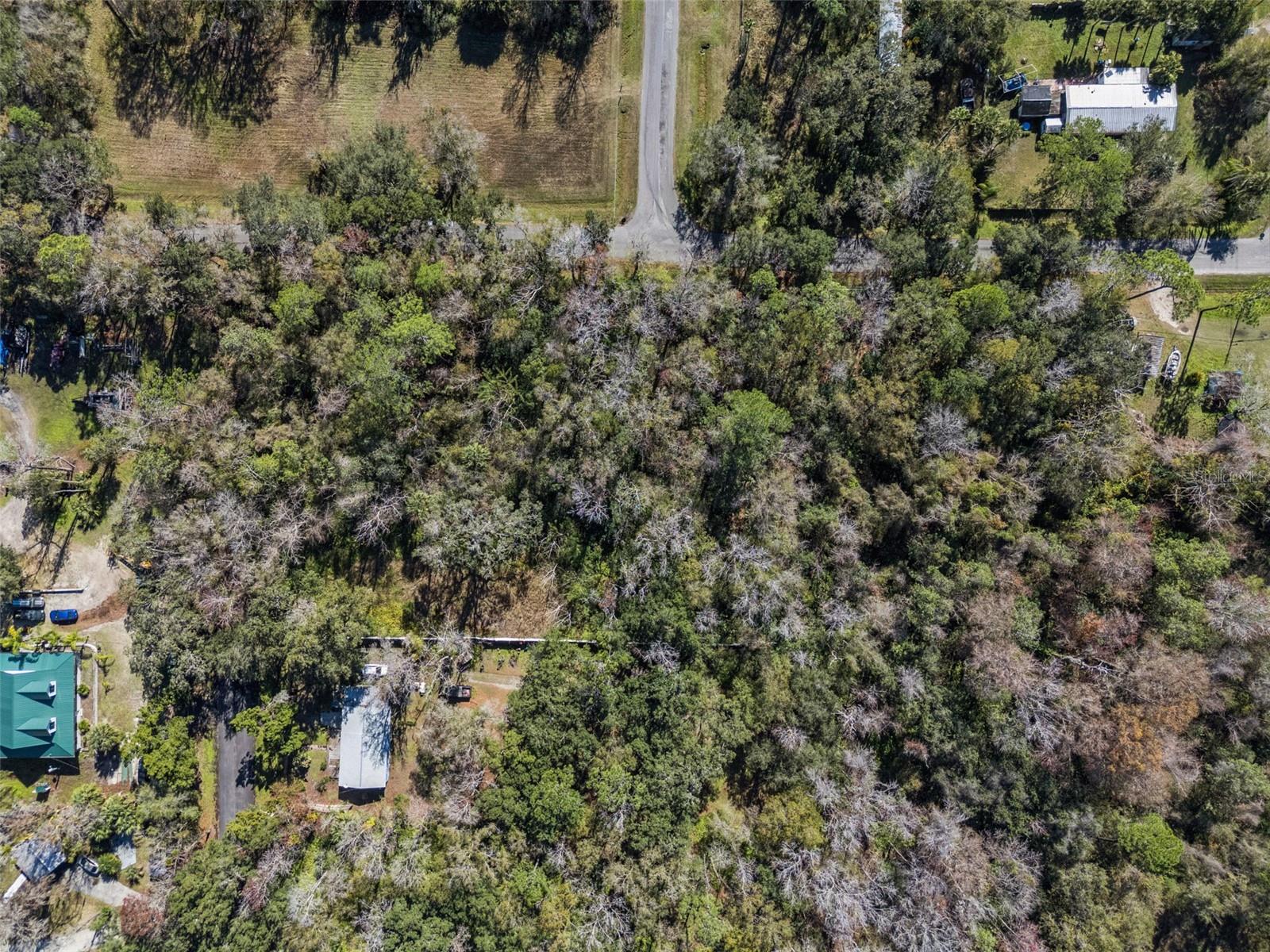 1002 Buist St Property Photo 10
