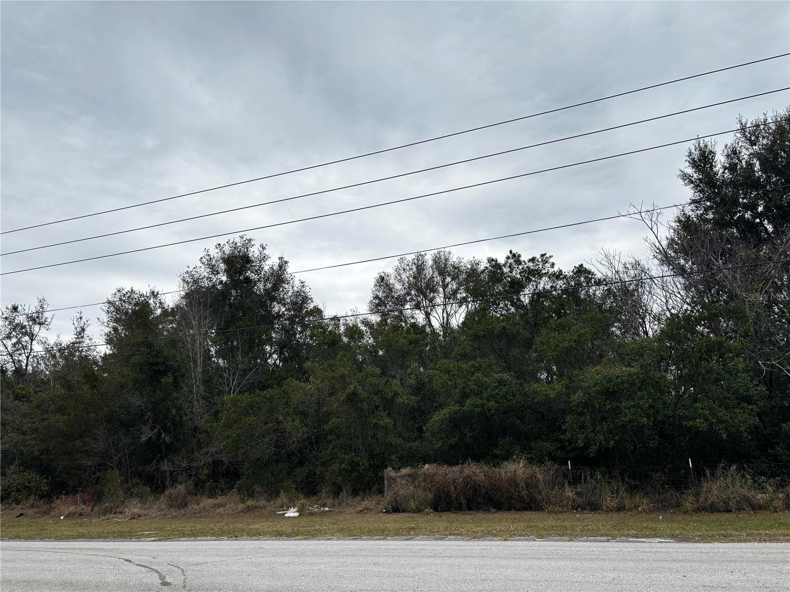 1305 W Kelly Park Rd Property Photo 1