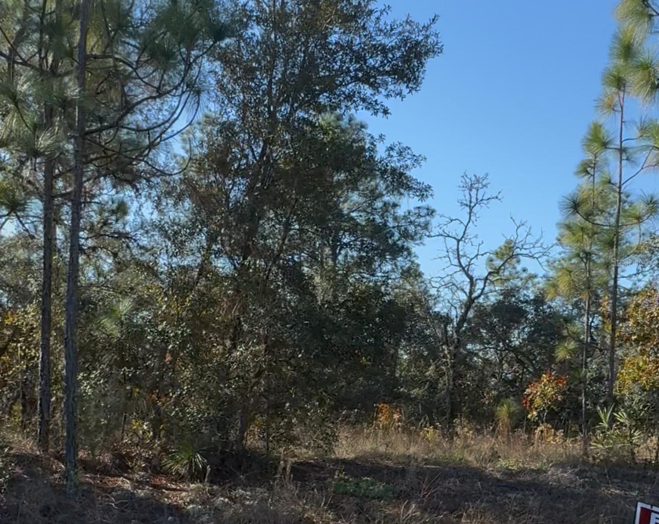 6783 N Pavilion Loop Property Photo 4