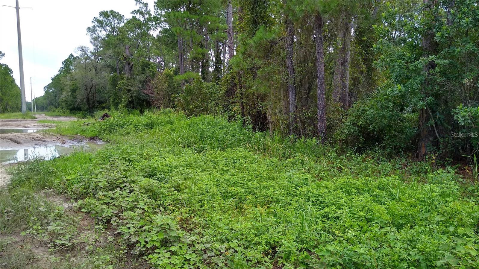 12th Ave Property Photo 3