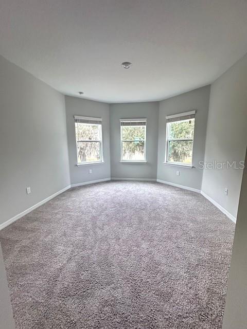 3860 Rose Mallow Dr Property Photo 9