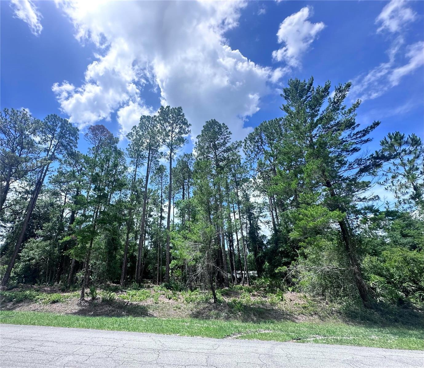 107 S Georgetown Point Rd Property Photo 1
