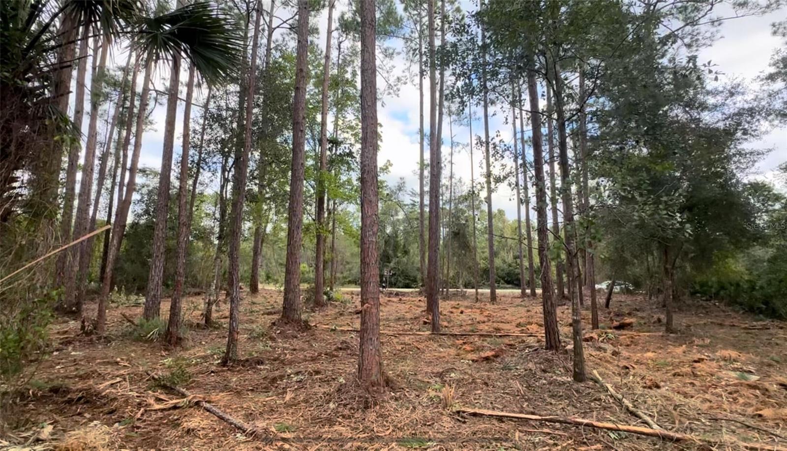 107 S Georgetown Point Rd Property Photo 5