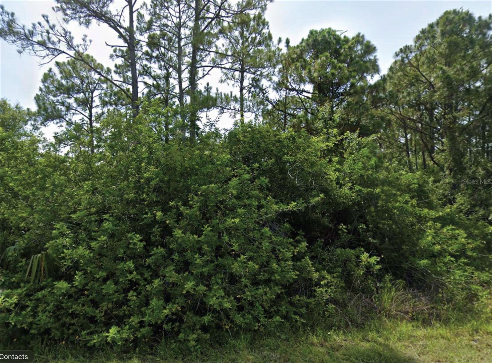 Flambeau Ave Property Photo 1