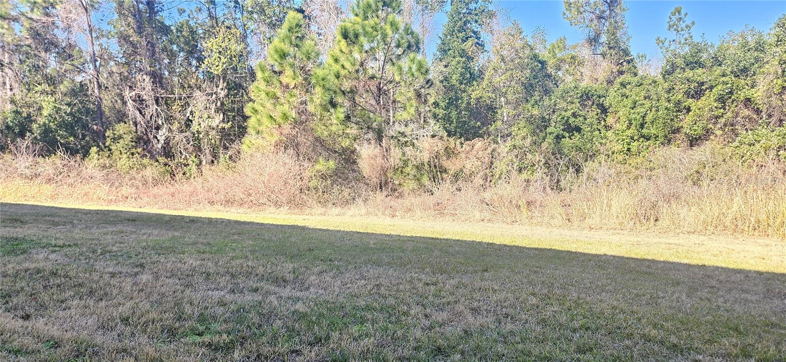 667 Bay Leaf Dr Property Photo 13