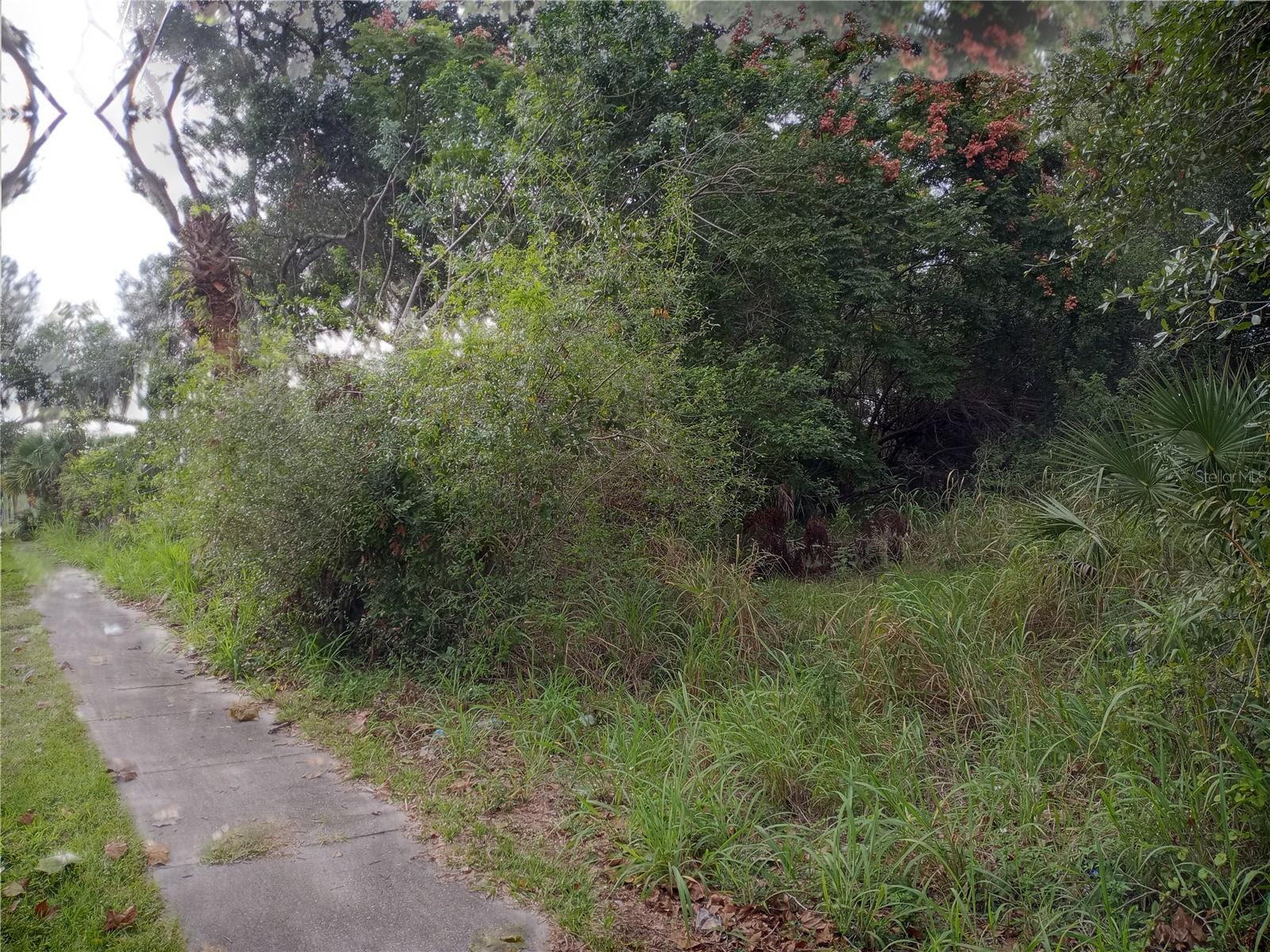 Carver St Property Photo 3