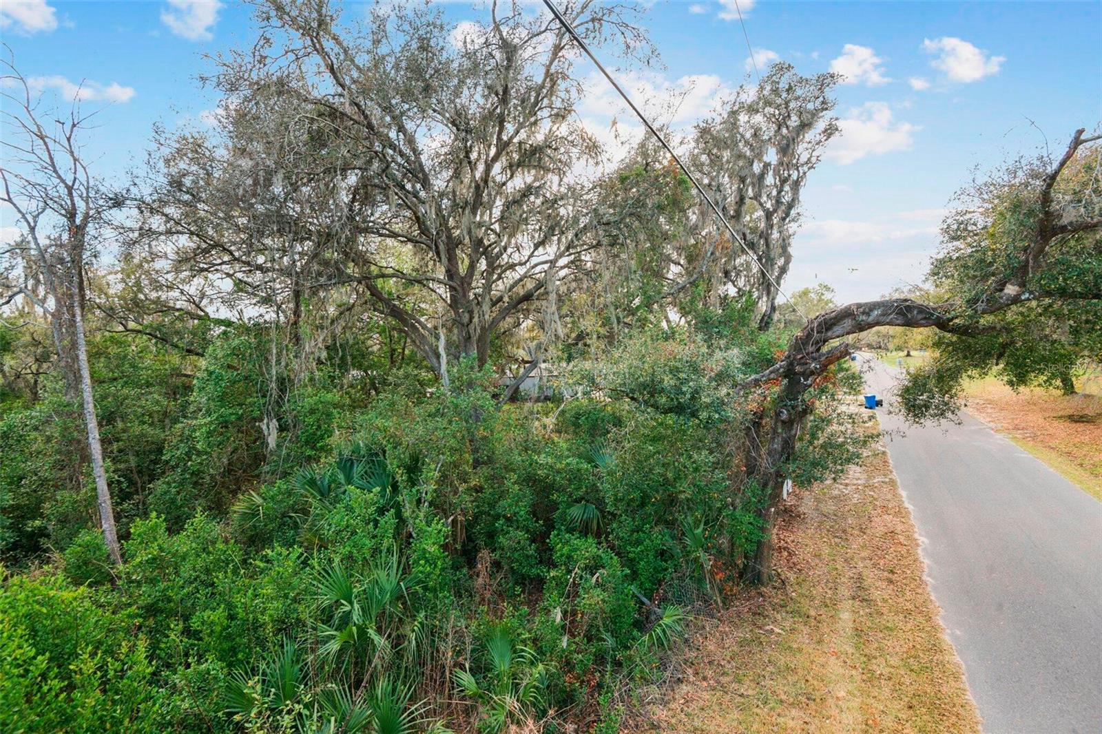 11119 Bessie Dix Rd Property Photo 5
