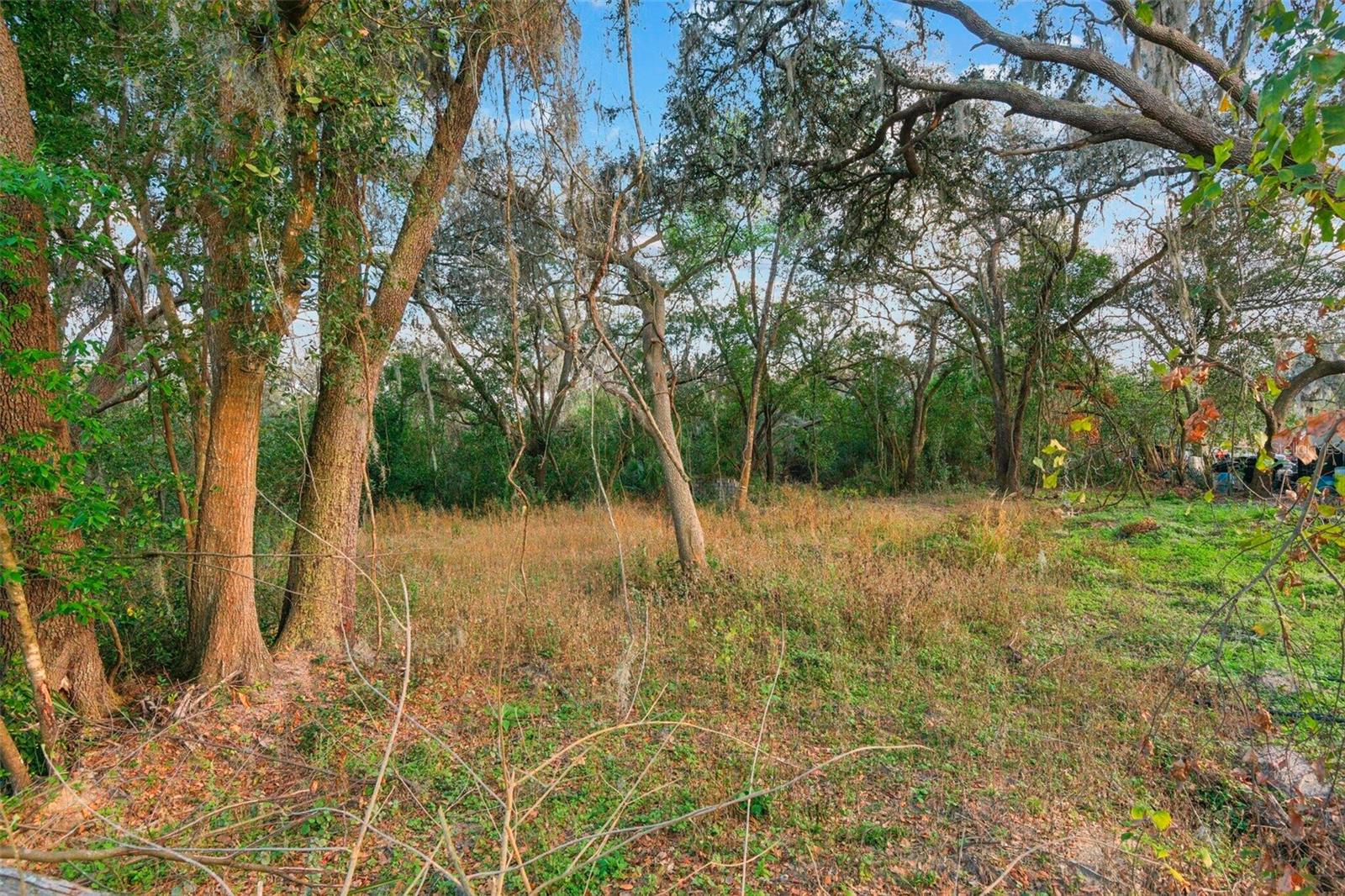 11119 Bessie Dix Rd Property Photo 7