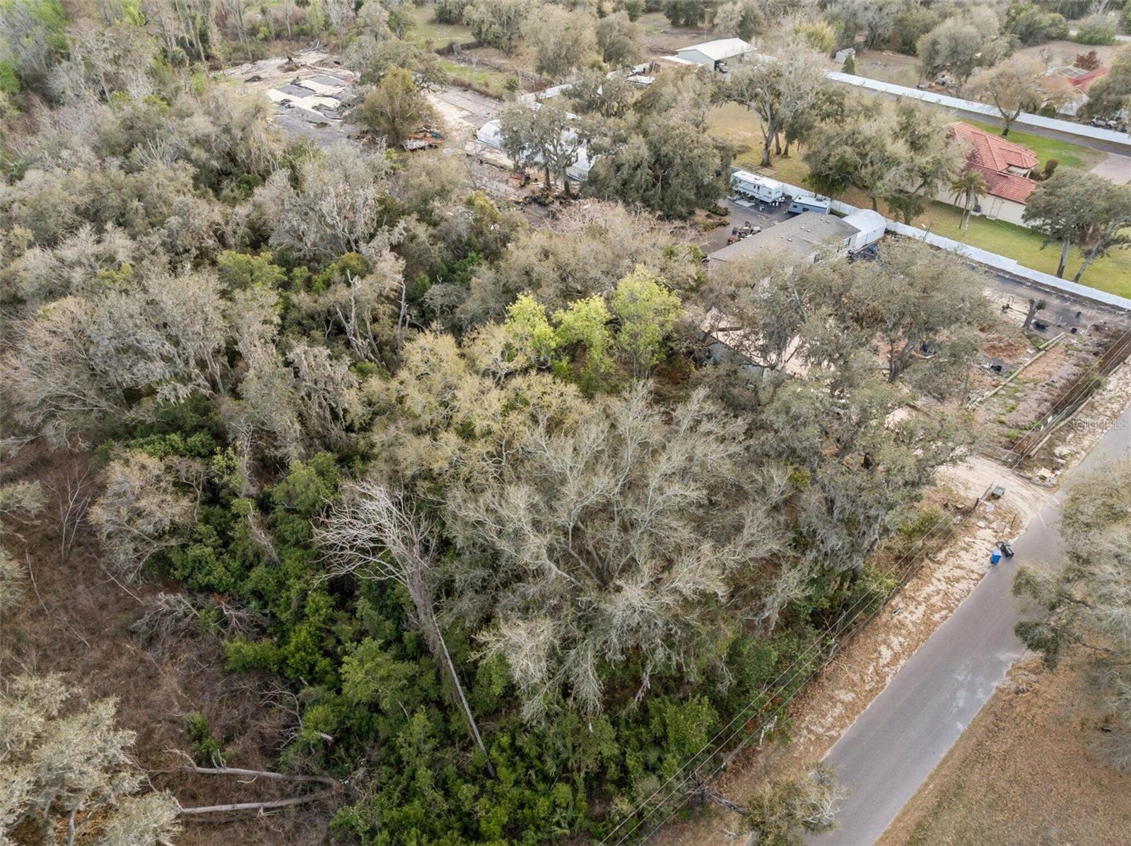 11119 Bessie Dix Rd Property Photo 8