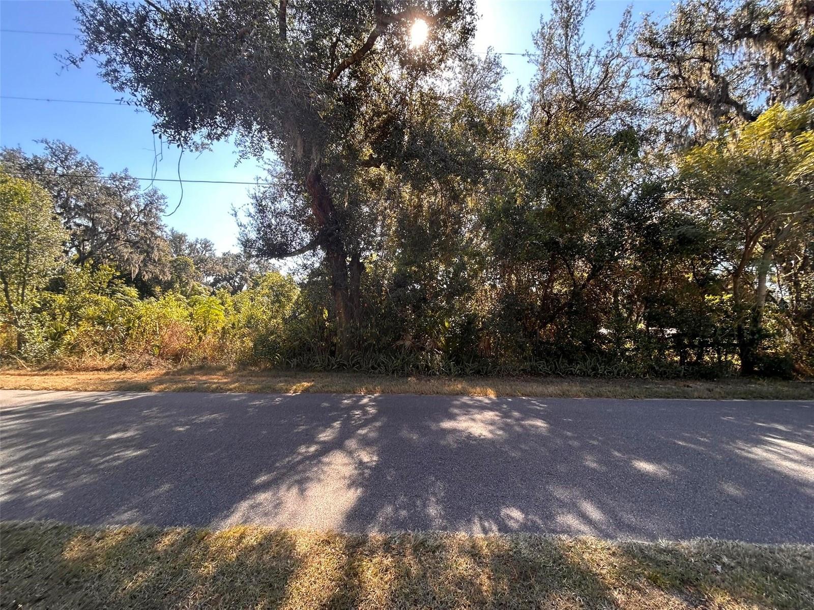 11119 Bessie Dix Rd Property Photo 12