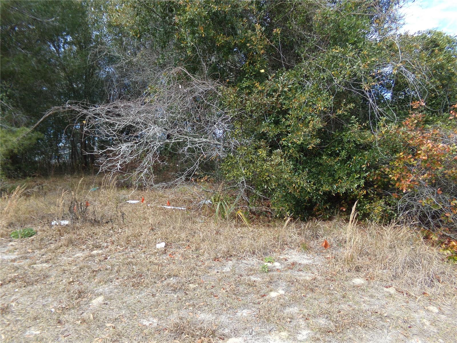 1680 Catalina Blvd Property Photo 3