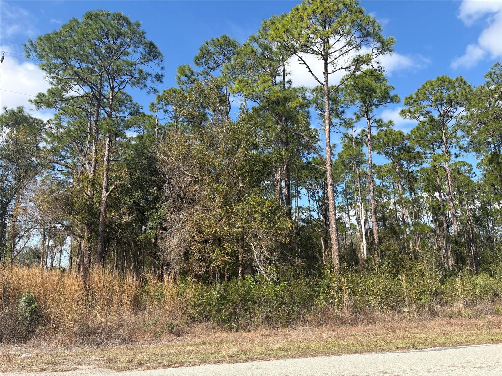 3214 Sr-66 Property Photo 3
