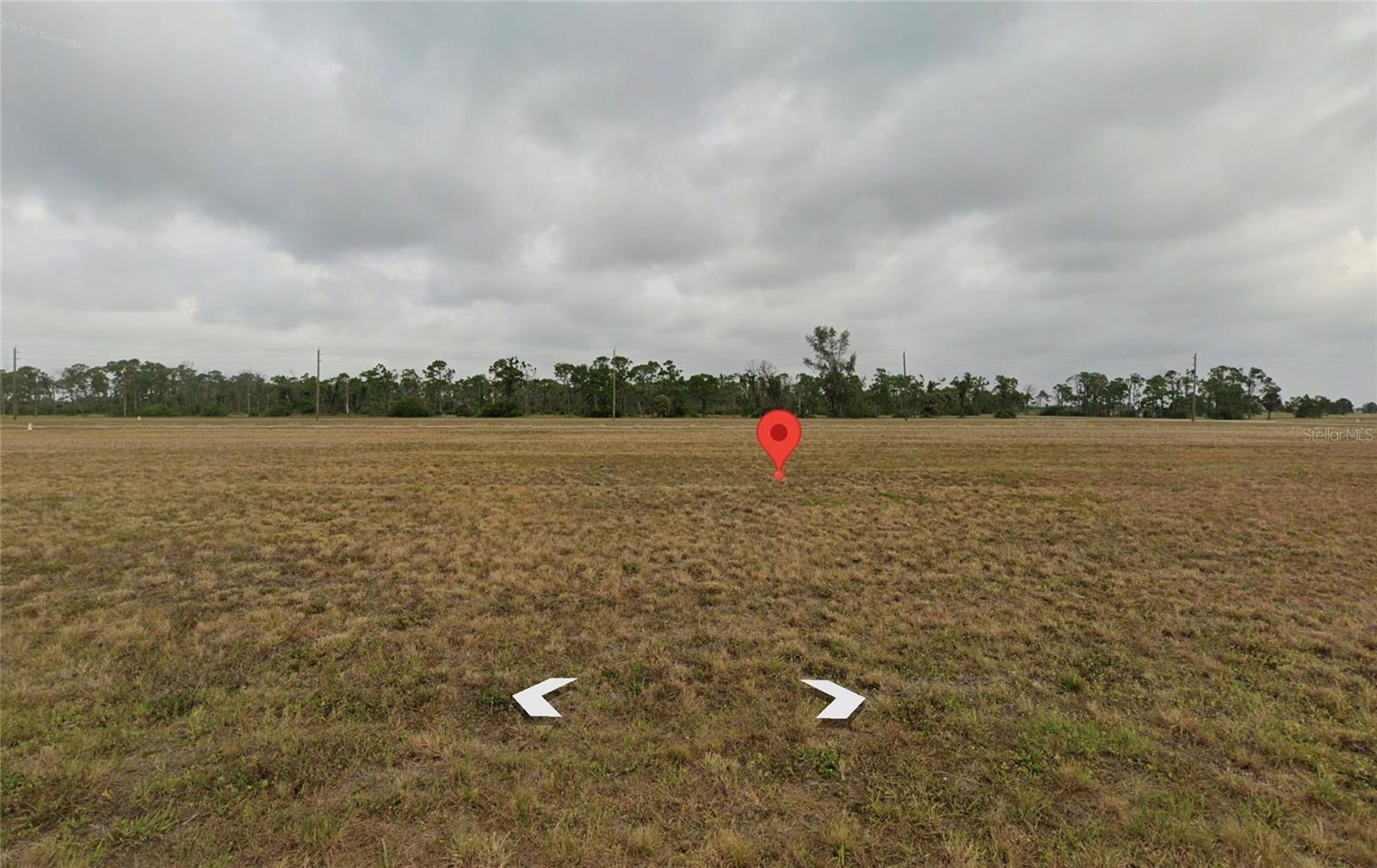 13496 TORPEDO-RAY PL Property Photo 1