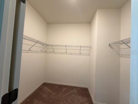 12771 Achasta Blvd Property Photo 7