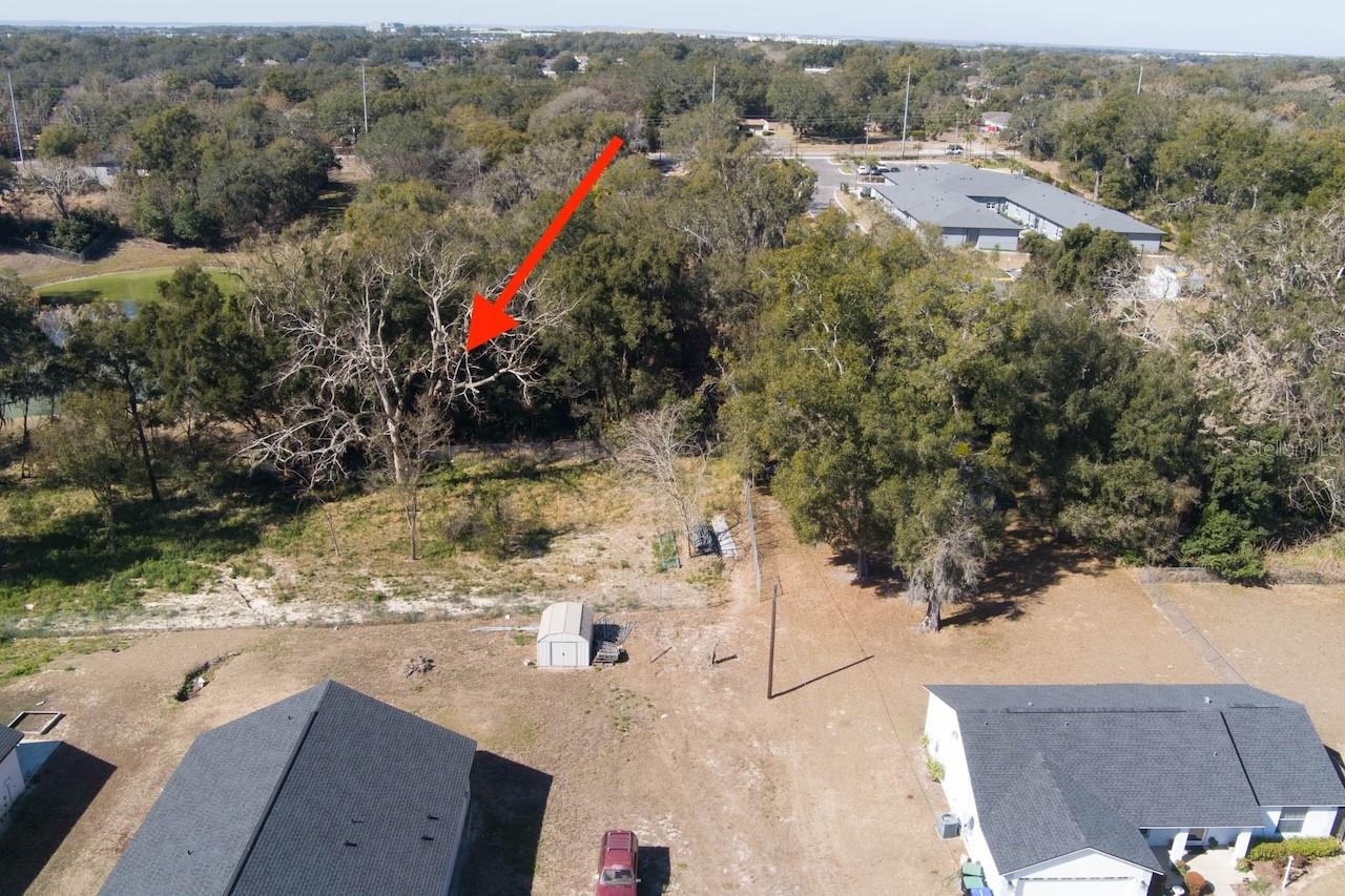 152 Saunders St Property Photo 11