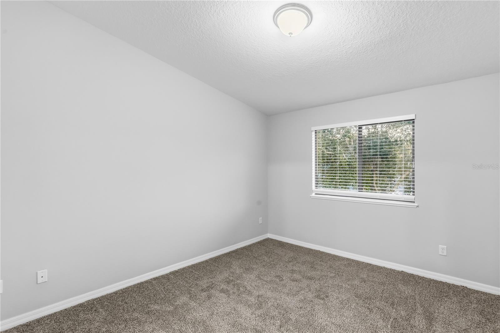 1251 Trillium Park Ln Property Photo 12