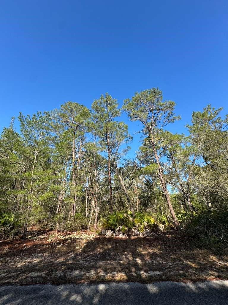 O6382489 Property Photo 1